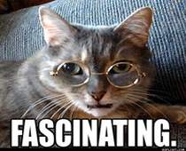 Jet Cash merit history